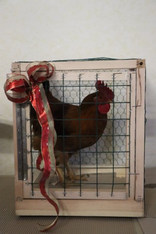 Messenger_creation_D03F93D8-C27F-45C0-A72C-F74040EAABD7