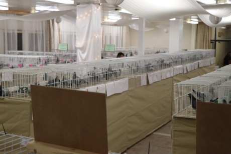 Messenger_creation_1824A05D-DD9F-4D31-AFBE-3F8669C6E3BF