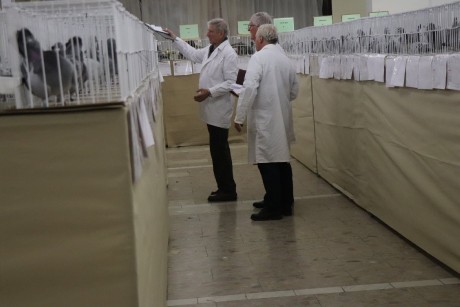 Messenger_creation_A2825C30-678C-433D-A76E-0B4B9DD37C54