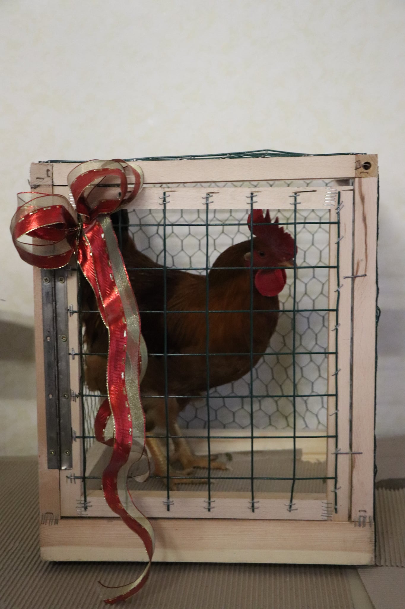 Messenger_creation_D03F93D8-C27F-45C0-A72C-F74040EAABD7