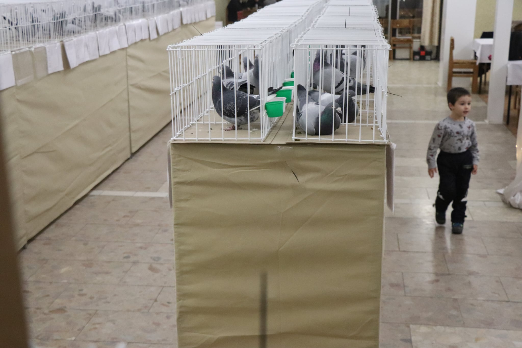 Messenger_creation_863B8263-3417-465A-8564-F535309DDEE8