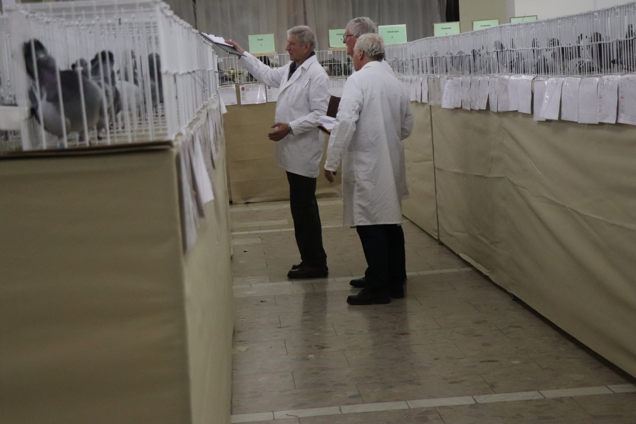 Messenger_creation_A2825C30-678C-433D-A76E-0B4B9DD37C54