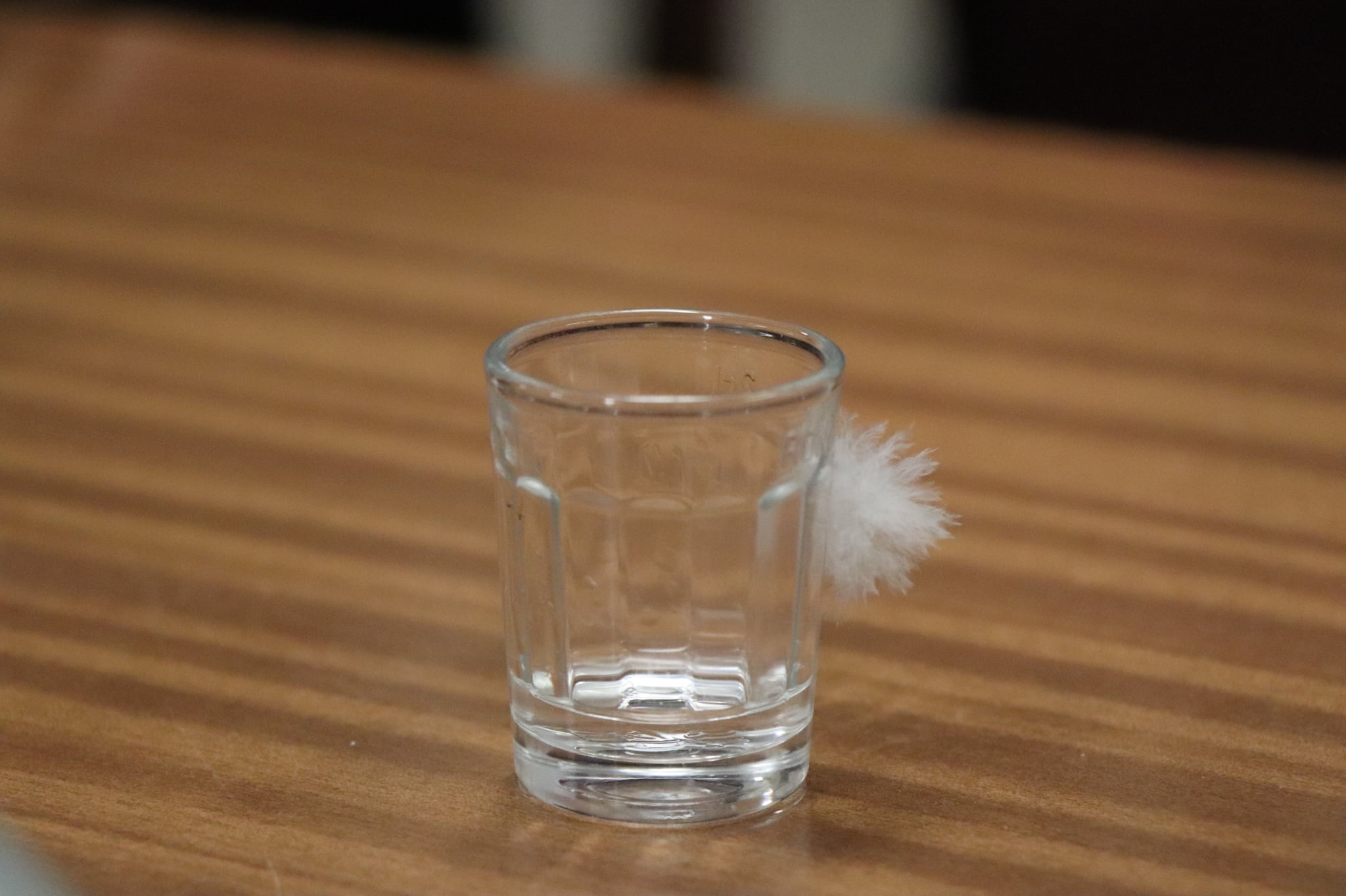 Messenger_creation_CE70CB98-46B7-4FE2-968E-071B84914F1C