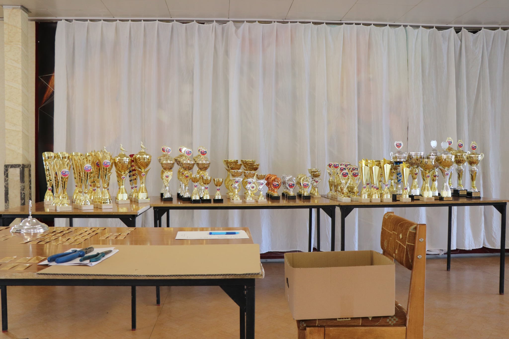 Messenger_creation_DEDF45E1-A453-418B-8D58-EFDCFF6CC77D