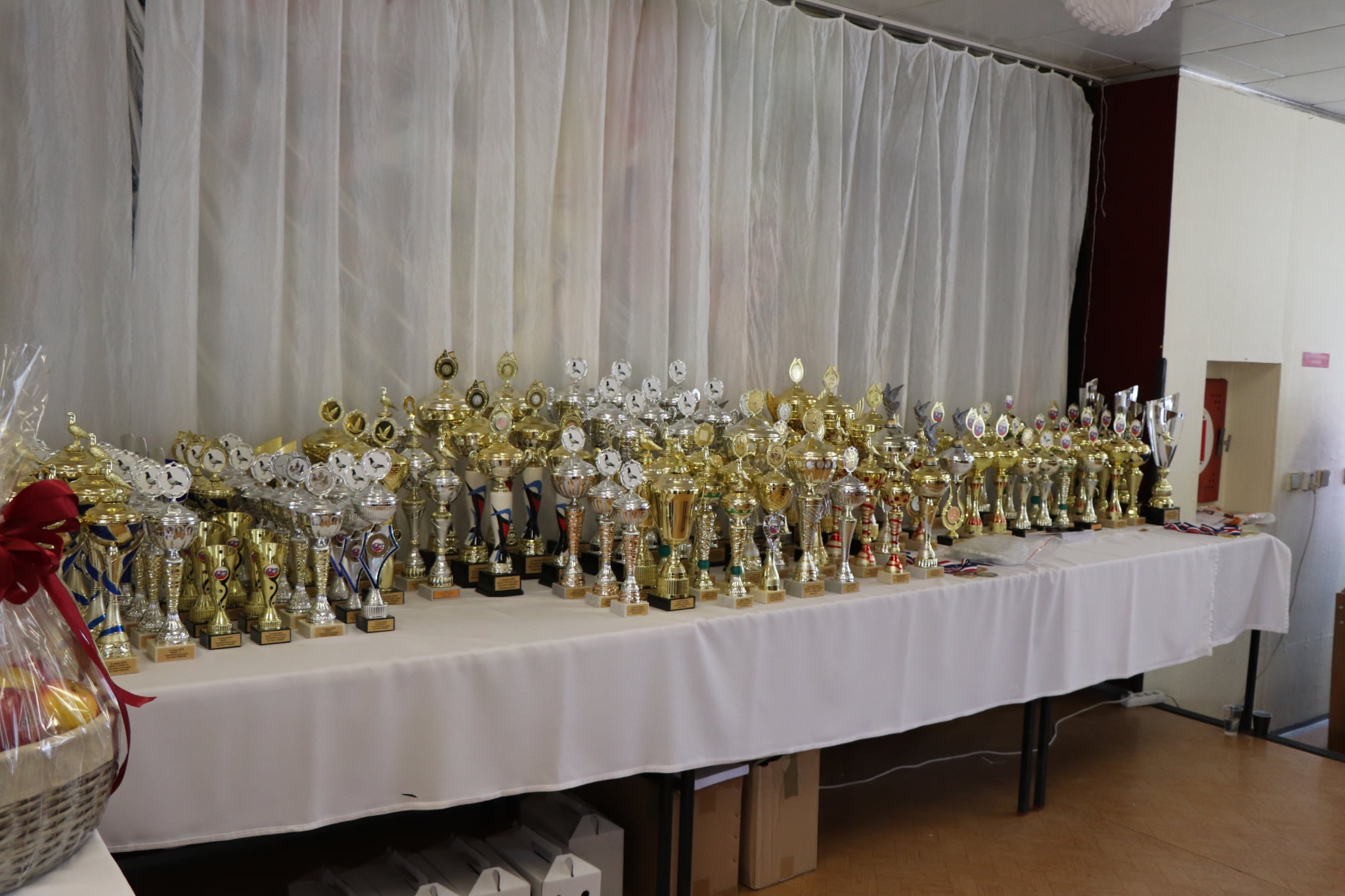 Messenger_creation_EB030E53-6FD8-4CB1-82EB-0970872E8BF4